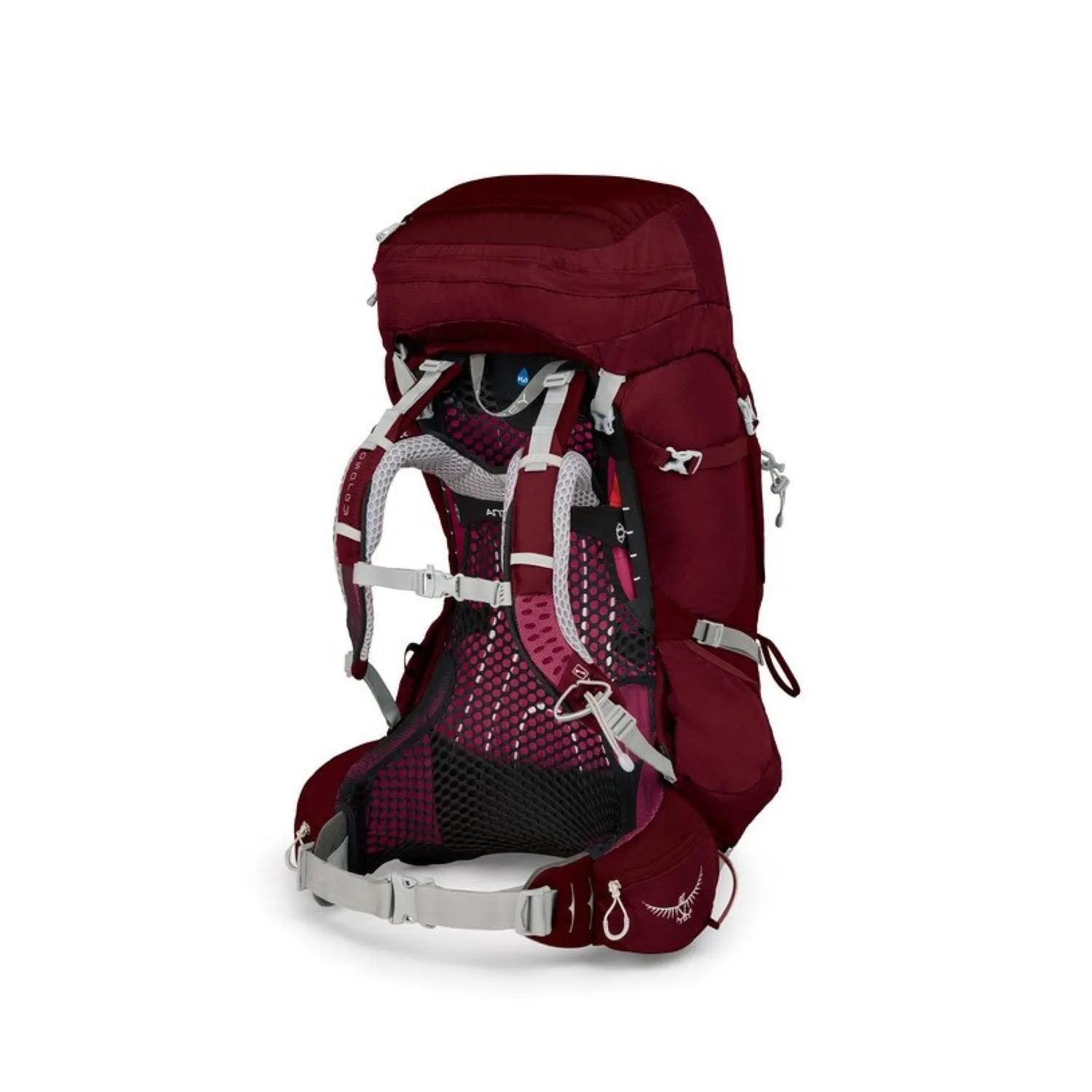 Osprey Aura AG 65 Backpack with Raincover - Small - Women's Backpacking
