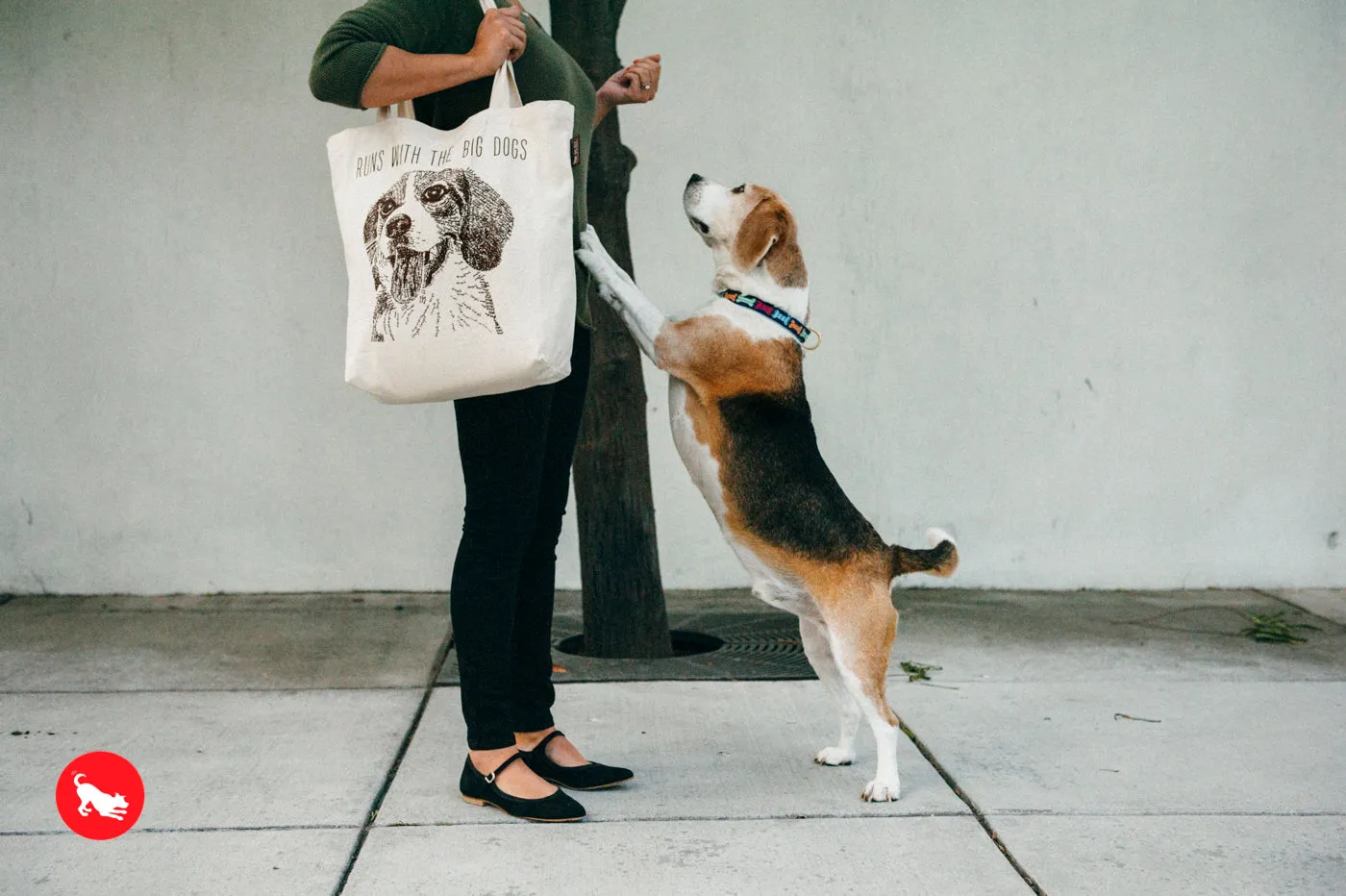 P.L.A.Y. Best in Show Totes: Beagle